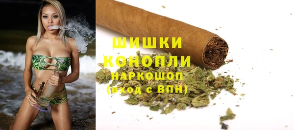 ГАЛЛЮЦИНОГЕННЫЕ ГРИБЫ Белокуриха