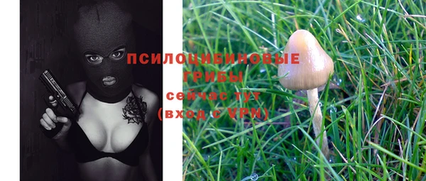 ГАЛЛЮЦИНОГЕННЫЕ ГРИБЫ Белокуриха