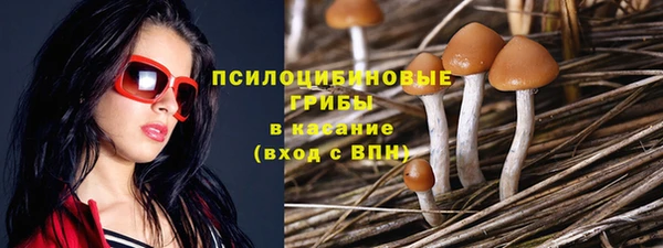 ГАЛЛЮЦИНОГЕННЫЕ ГРИБЫ Белокуриха
