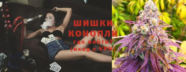 ГАЛЛЮЦИНОГЕННЫЕ ГРИБЫ Белокуриха