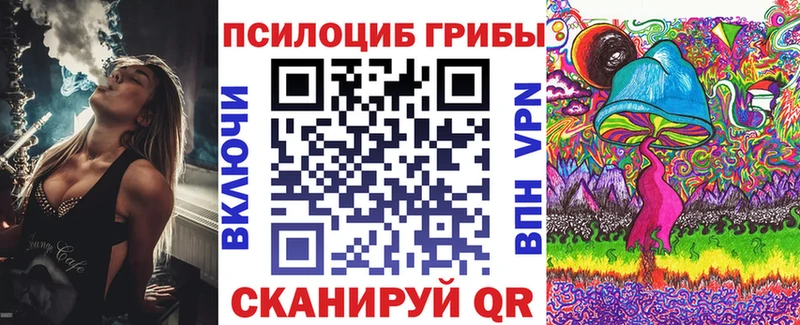 Купить  Лесозаводск  Галлюциногенные грибы GOLDEN TEACHER 